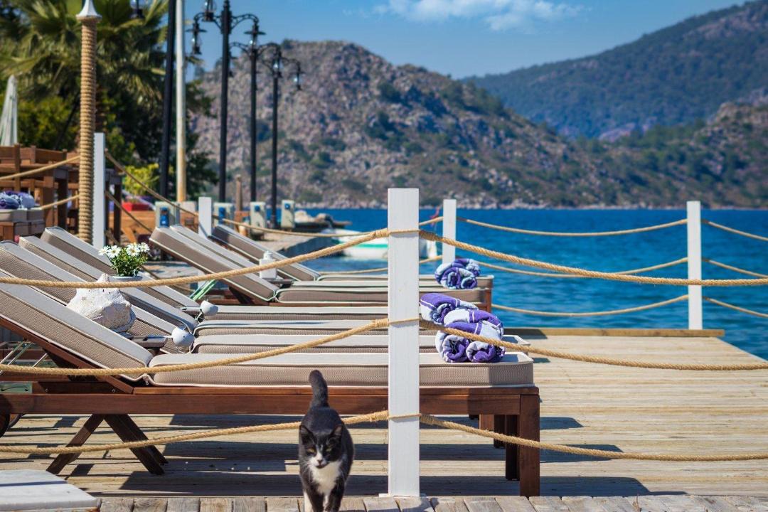 Photo of Others in Selimiye