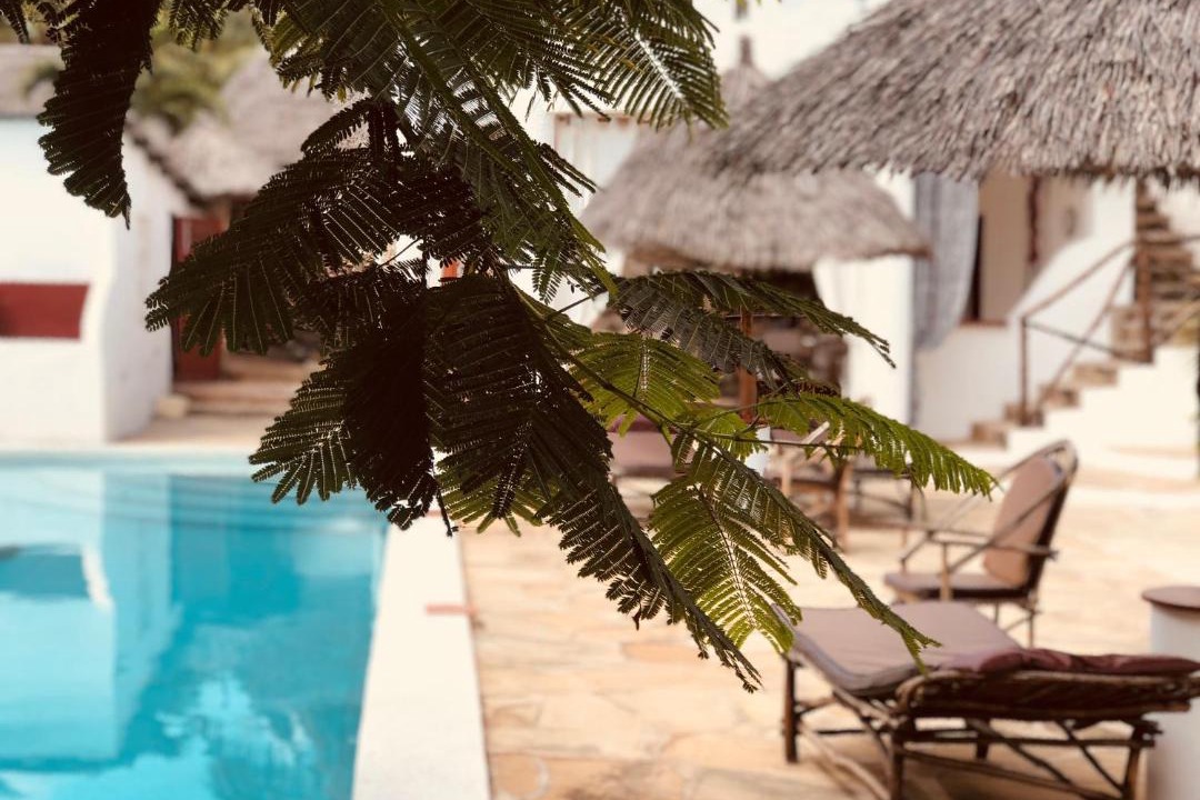 Photo of Outdoor in Watamu