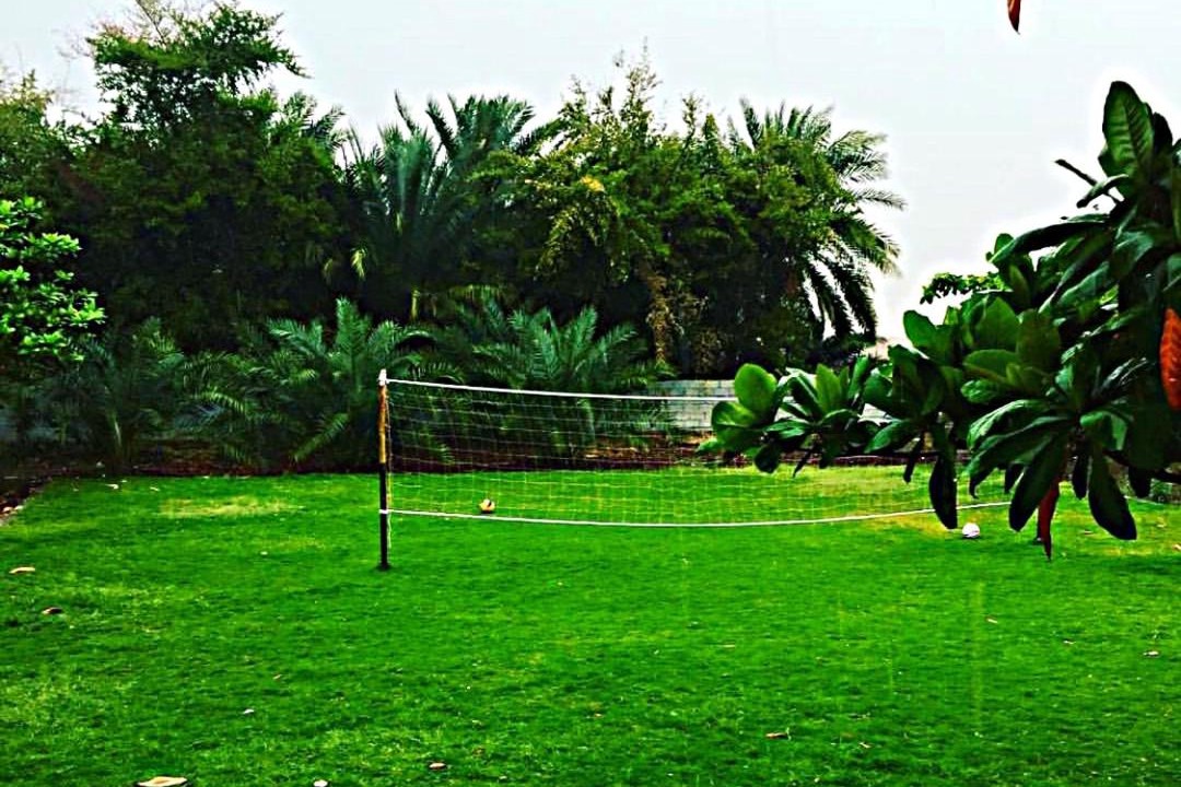 Photo of Others in Sharjah