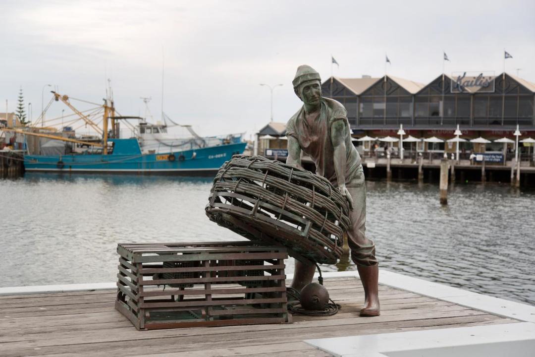 Photo of Others in Fremantle