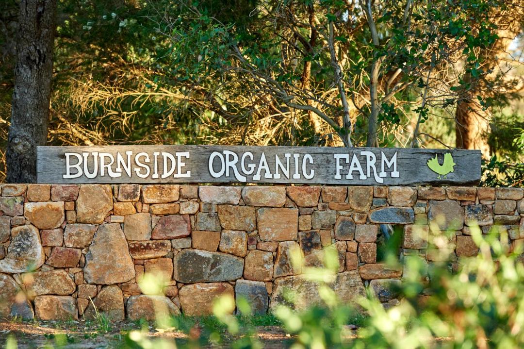 Photo of Others in Burnside