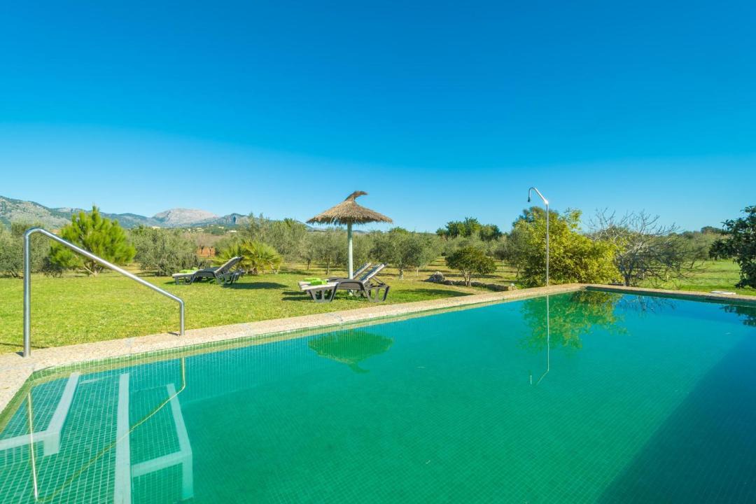Photo of Outdoor in Selva
