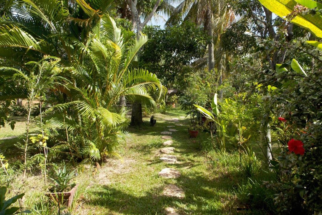 Photo of Outdoor in Kep