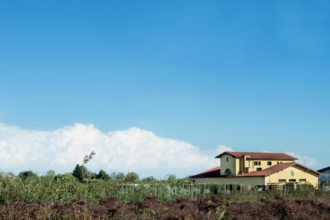 Photo of Others in Cambiago