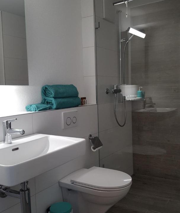 Photo of Bathroom in Horgen District