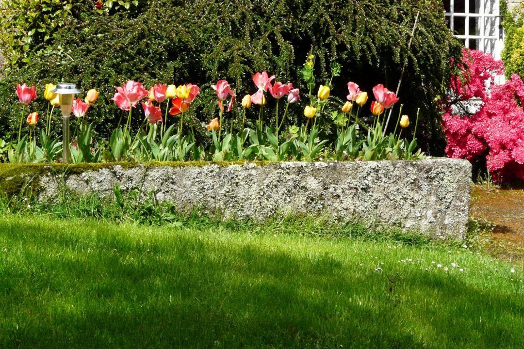 Photo of Others in Landrevarzec