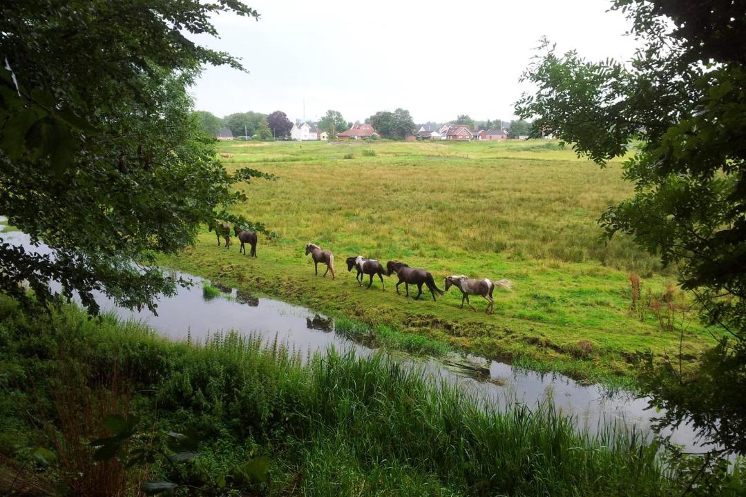 Photo of Others in Gording