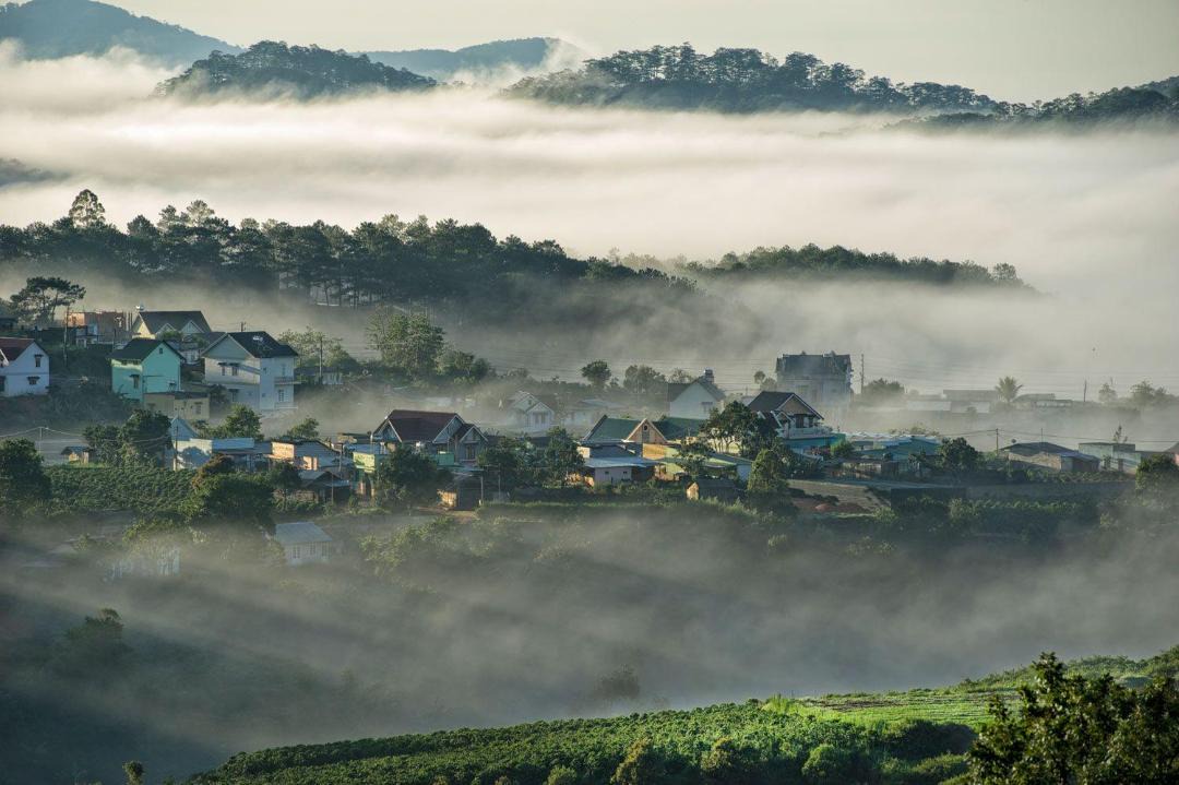 Photo of Others in Da Lat
