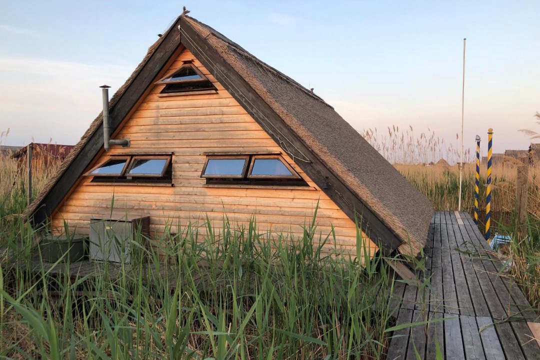 Photo of Buildings in Rust