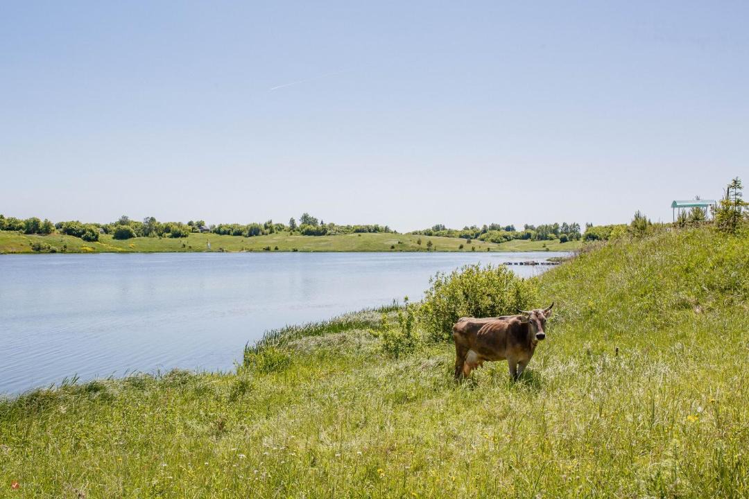 Photo of Outdoor in Zhiryatinskoe