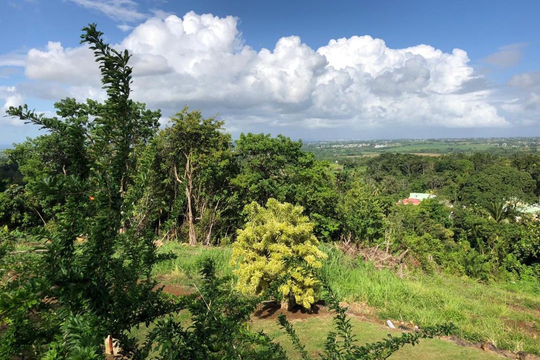 Photo of Outdoor in Sainte-Rose