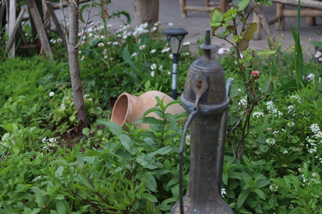 Photo of Outdoor in Halidzor