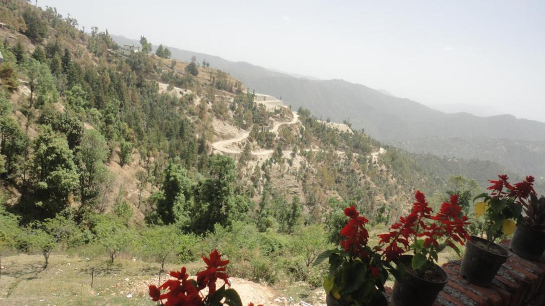 Photo of Others in Mukteshwar