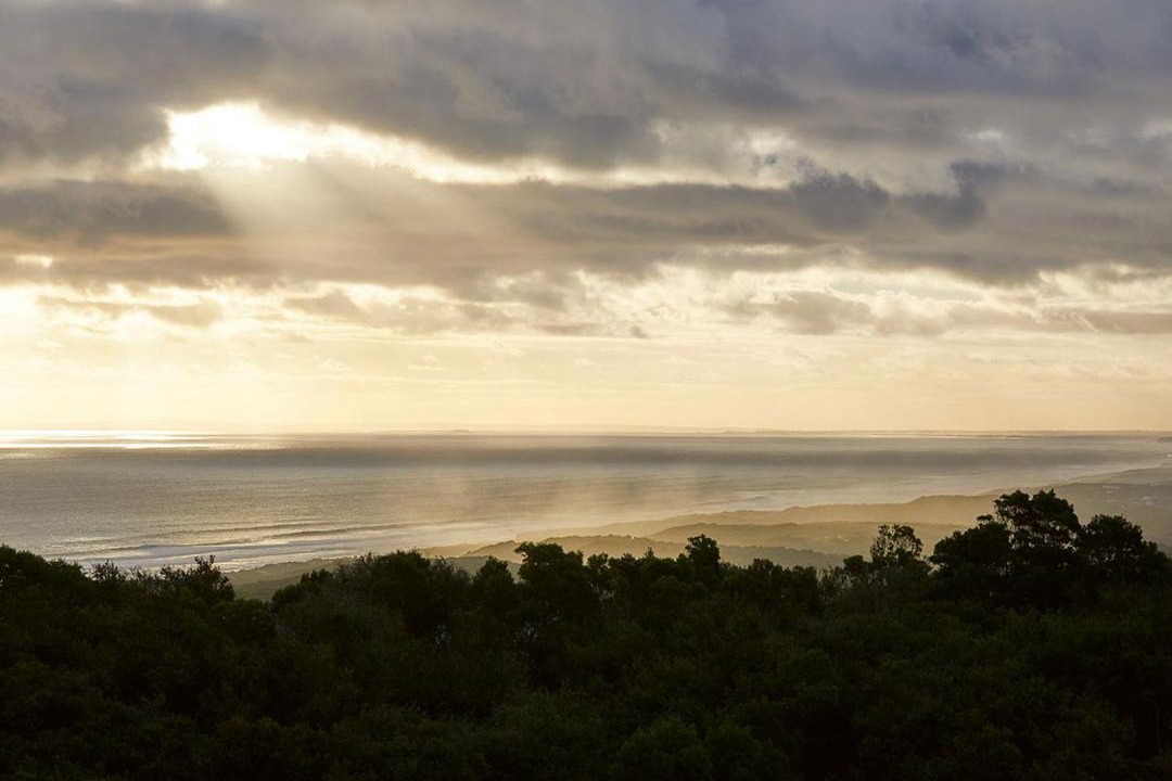 Photo of Others in Cape Schanck