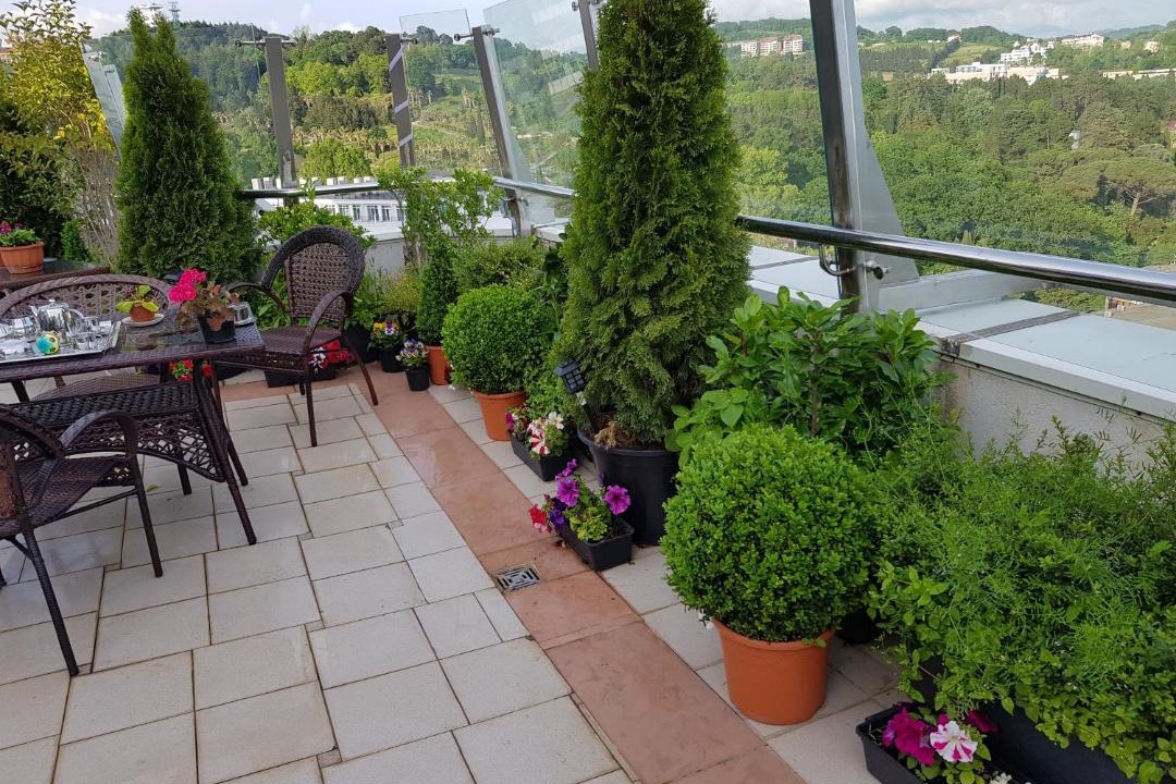 Photo of Patio Balcony in Sochi City Centre