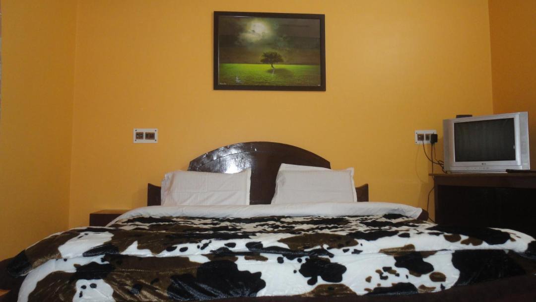 Photo of Bedroom in Dhikuli
