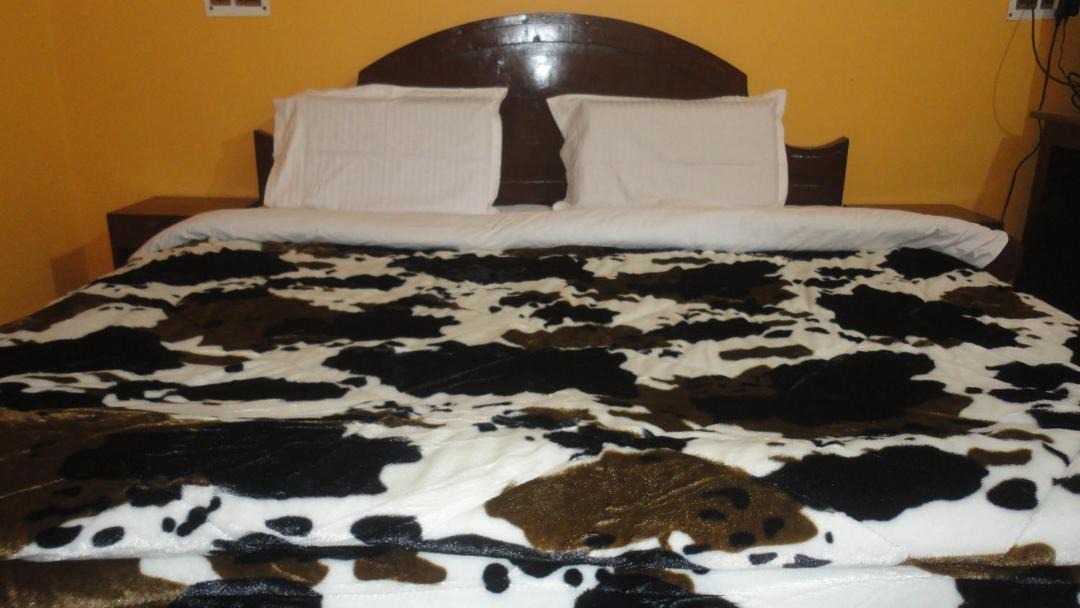 Photo of Bedroom in Dhikuli