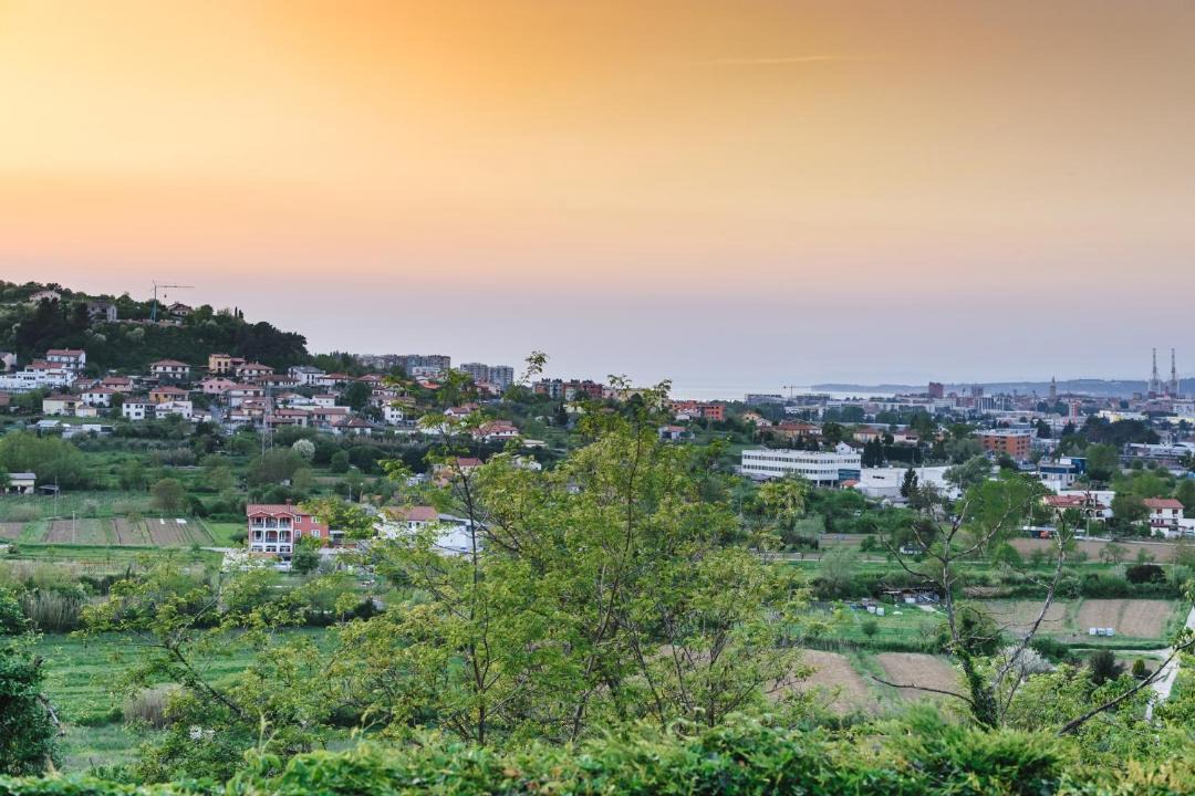 Photo of Others in Koper