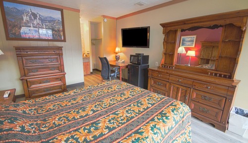 Room, 1 Twin Bed