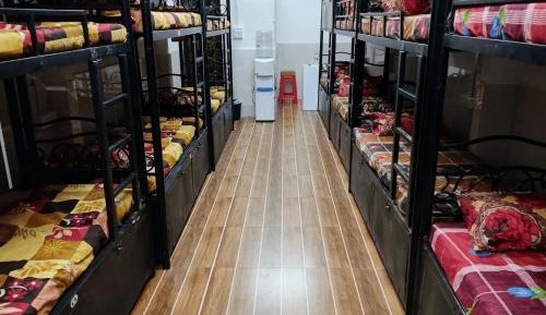 Bunk Bed in Male Dormitory Room 