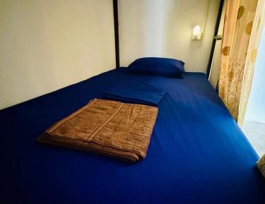 Bunk Bed in Mixed Dormitory Room