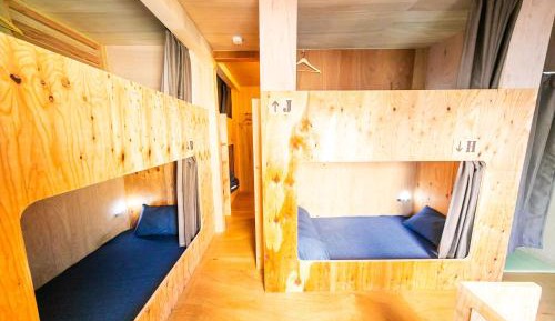 Bunk Bed in Mixed Dormitory Room