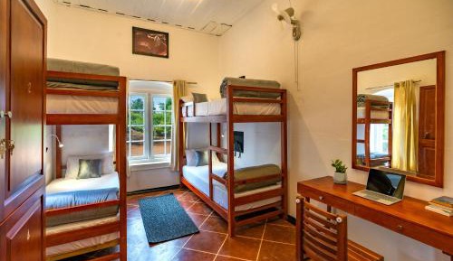 Bed in 6-Bed Mixed Dormitory Room