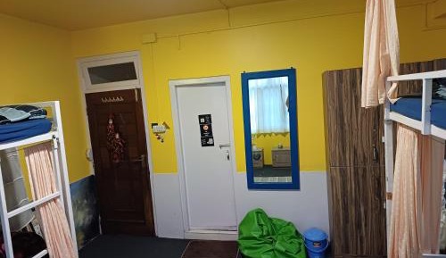 Bunk Bed in Mixed Dormitory Room