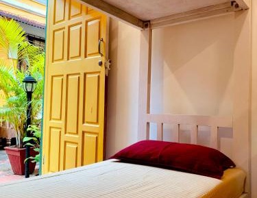 Bed in 4-Bed Mixed Dormitory Room