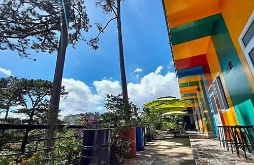 Da Lat Hotel | IColor Dalat Hostel